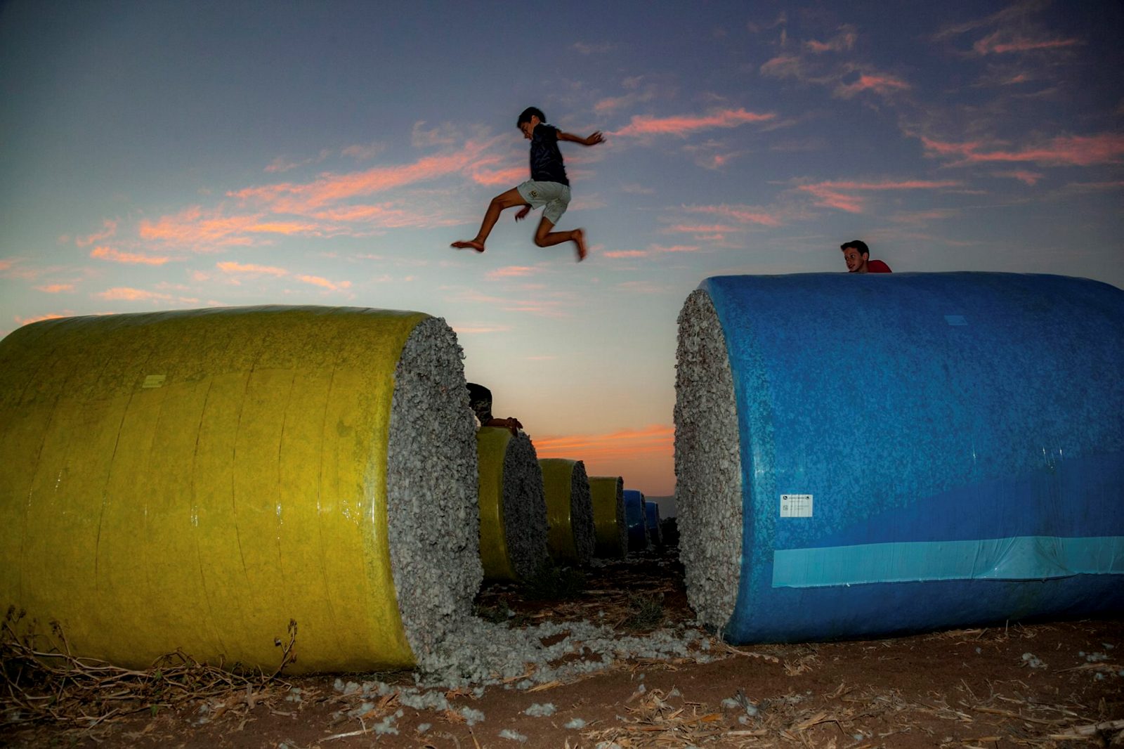 Leaping cotton bales. Photo by Anat Hermony/Flash90