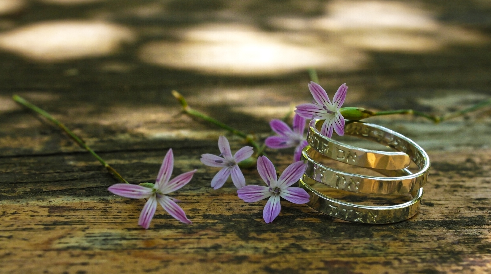 Hadaya’s triple spiral ring. Photo by Valery Soutchkov Three silver rings stacked together rest on a rustic wooden surface, surrounded by small, delicate purple flowers and green stems, with dappled sunlight in the background.