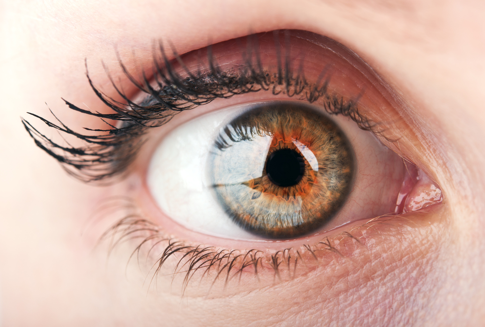 Diseases of the cornea are the second leading cause of blindness worldwide