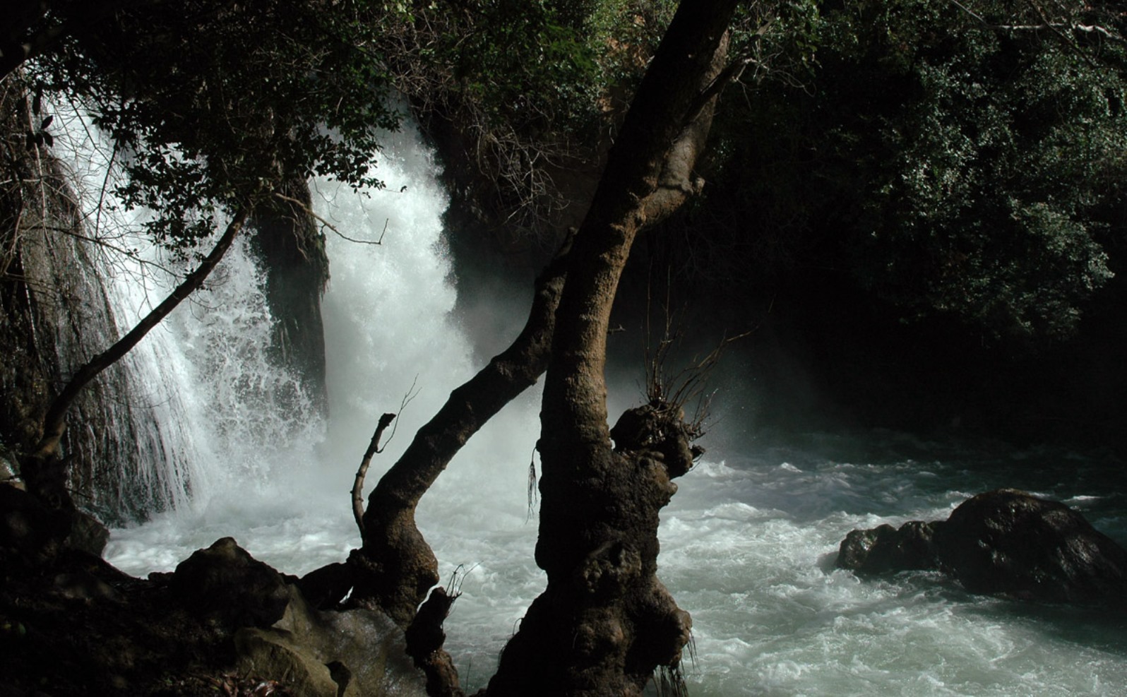 The Banias is Israel’s most powerful waterfall. Photo by Yehoshua Halevi