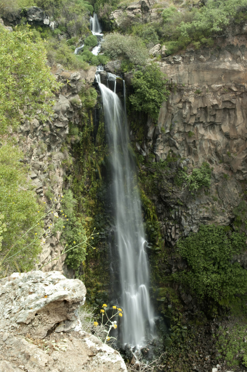 Gamla is Israel’s highest perennial waterfall. Photo by Yehoshua Halevi