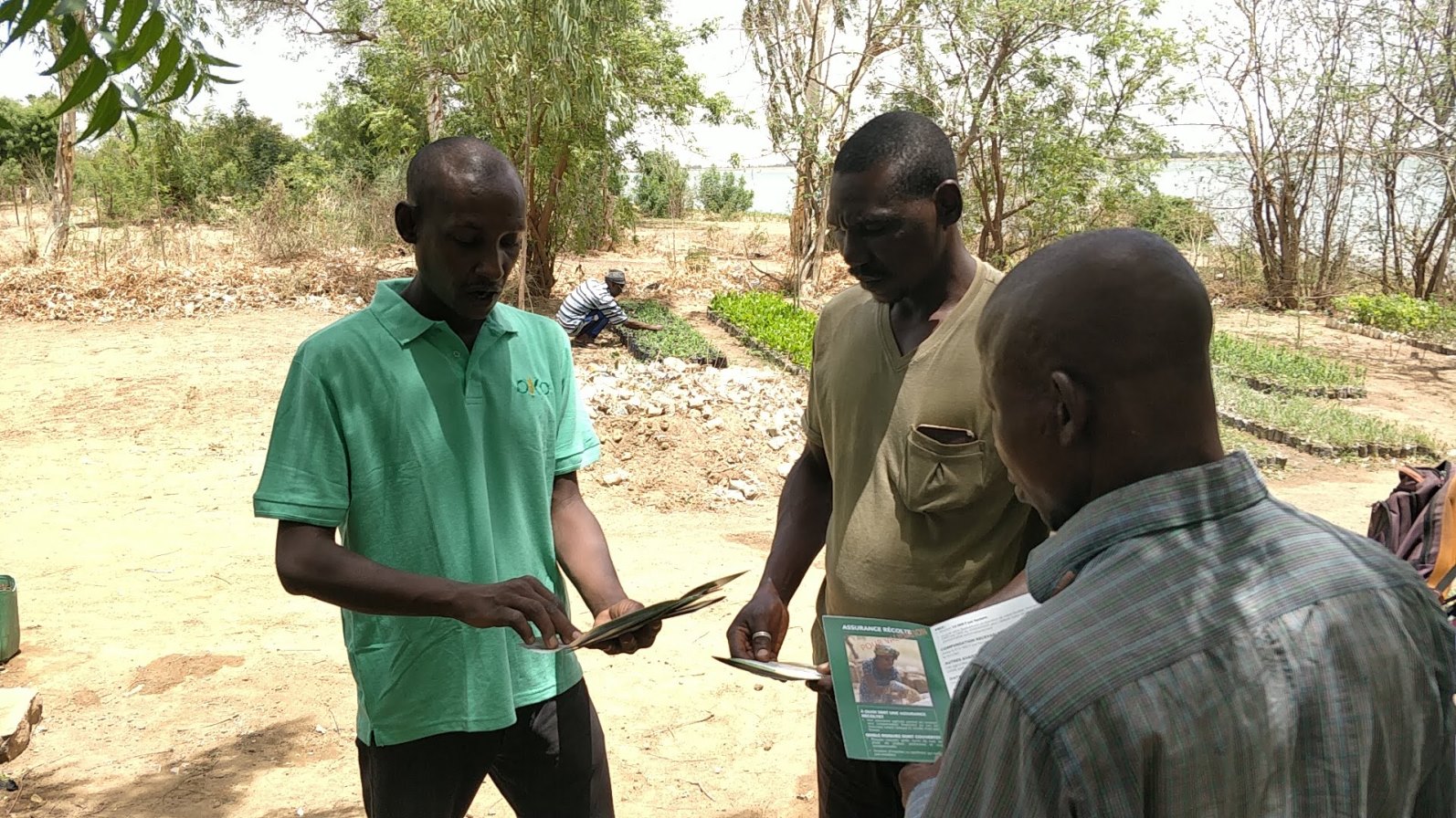 Mali farmers reading OKO literature. Photo: courtesy