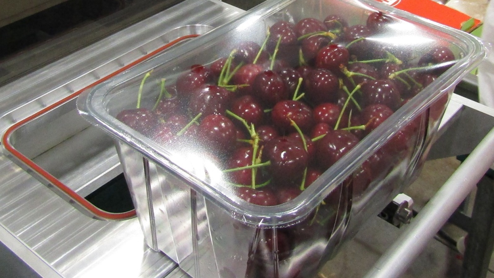 Xgo FreshLid extends the shelf life of fresh cherries shipped from South America to China. Photo courtesy of StePac and Tadbik