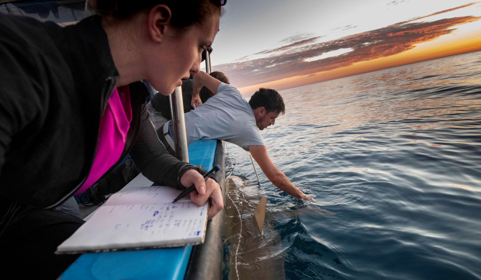 Leigh Kroeger, left, and Eyal Bigal studying sharks off the Hadera coast. Photo by Hagai Nativ/Morris Kahn Marine Research Station/University of Haifa