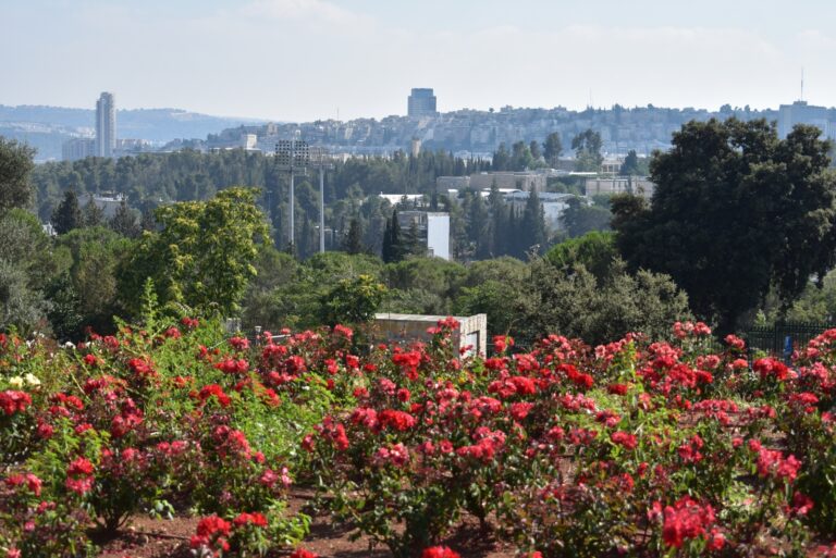 View of Jerusalem from the Wohl Rose Garden. Photo by Andrew Baum via Shutterstock