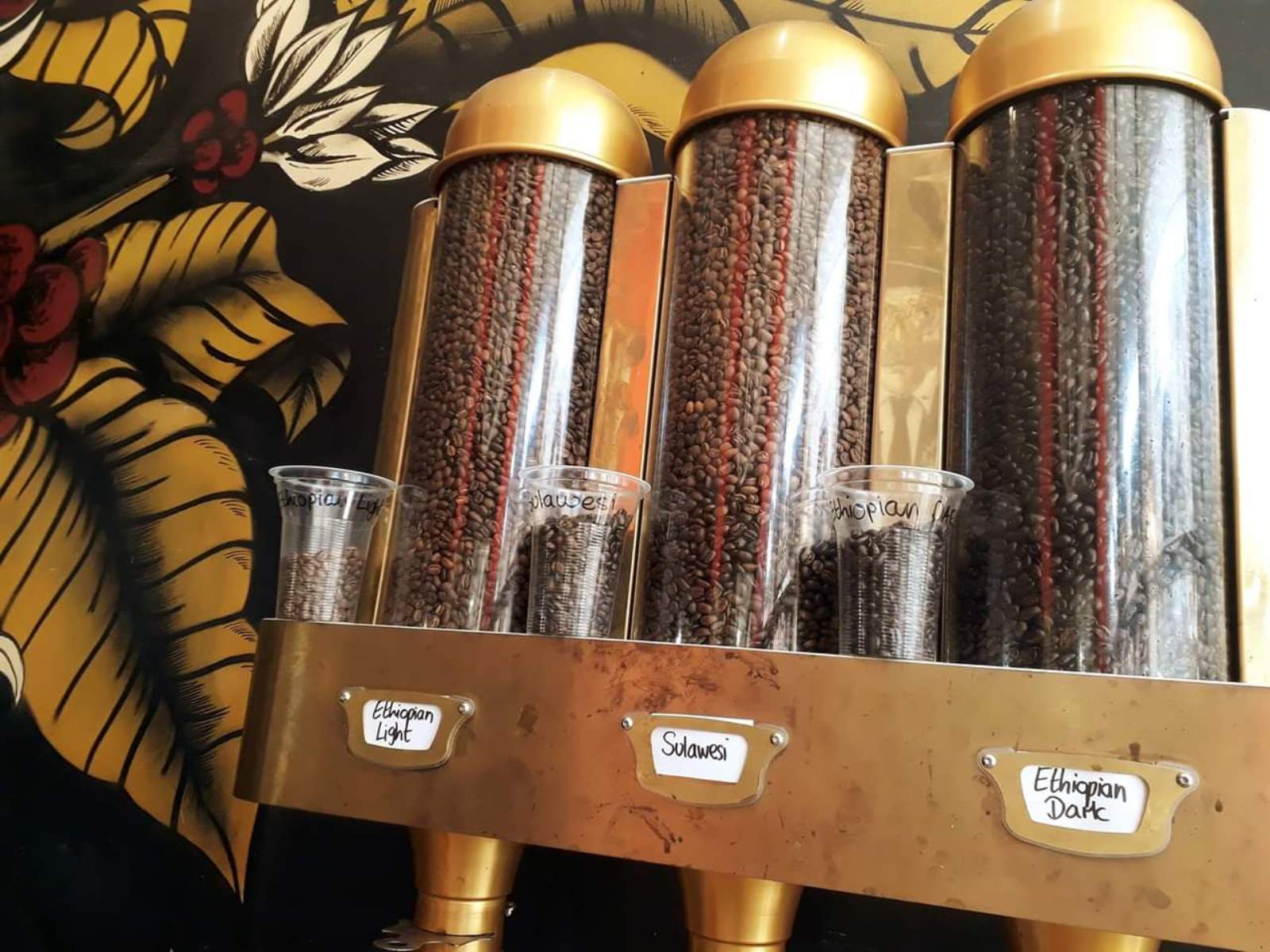 Photo courtesy of Power Coffee Works