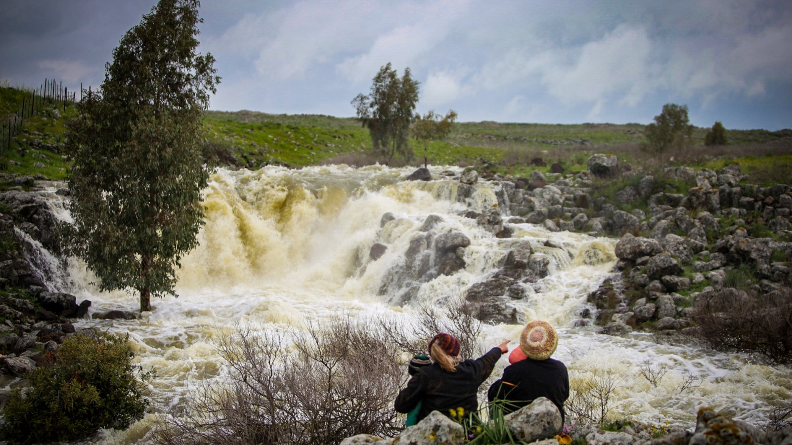 Nahal El Al in northern Israel, February 28, 2019. Photo by Maor Kinsbursky/FLASH90
