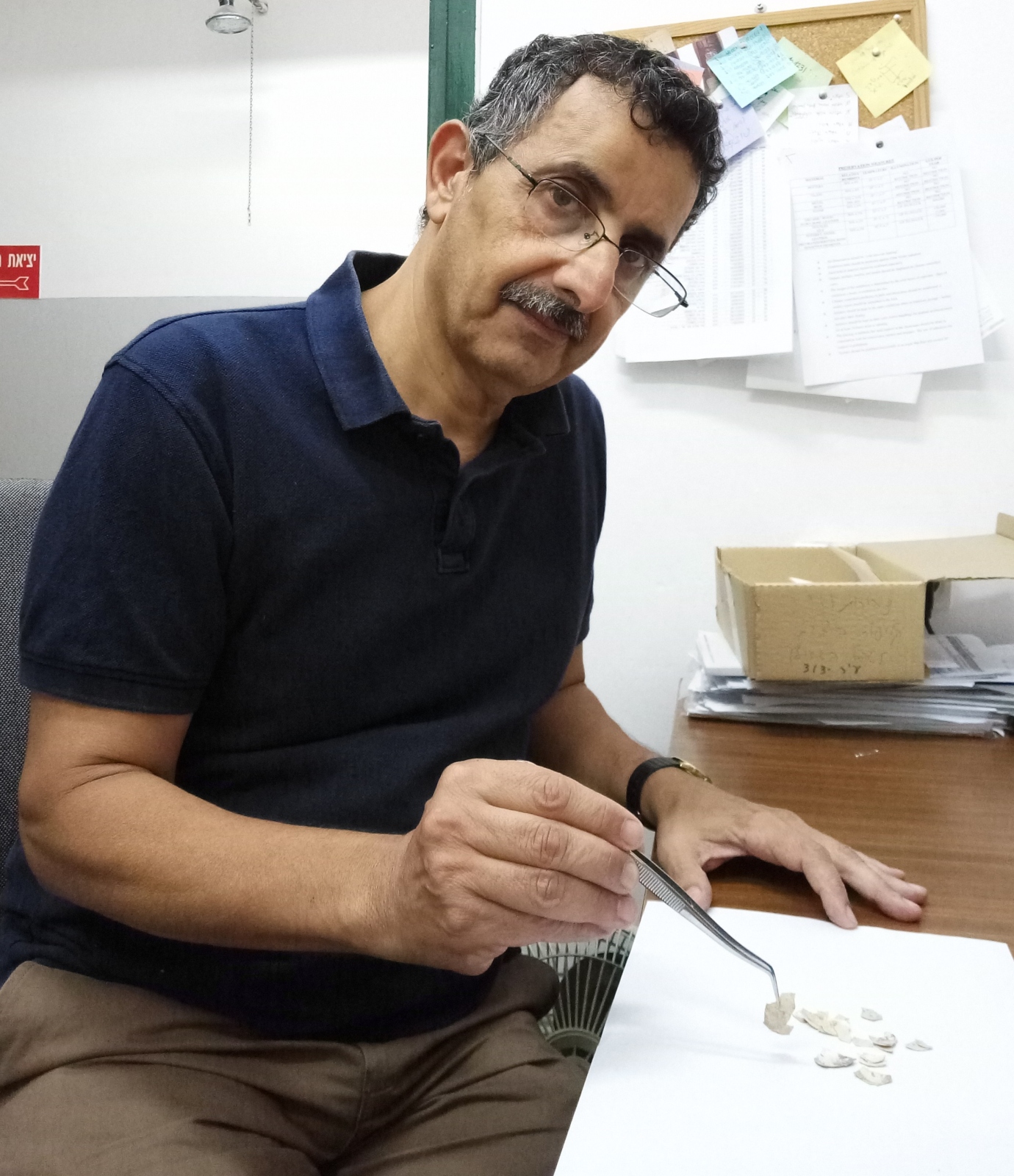 Prof. Zohar Amar and the remnants of First Temple-era chicken eggs. Photo courtesy of Bar-Ilan University