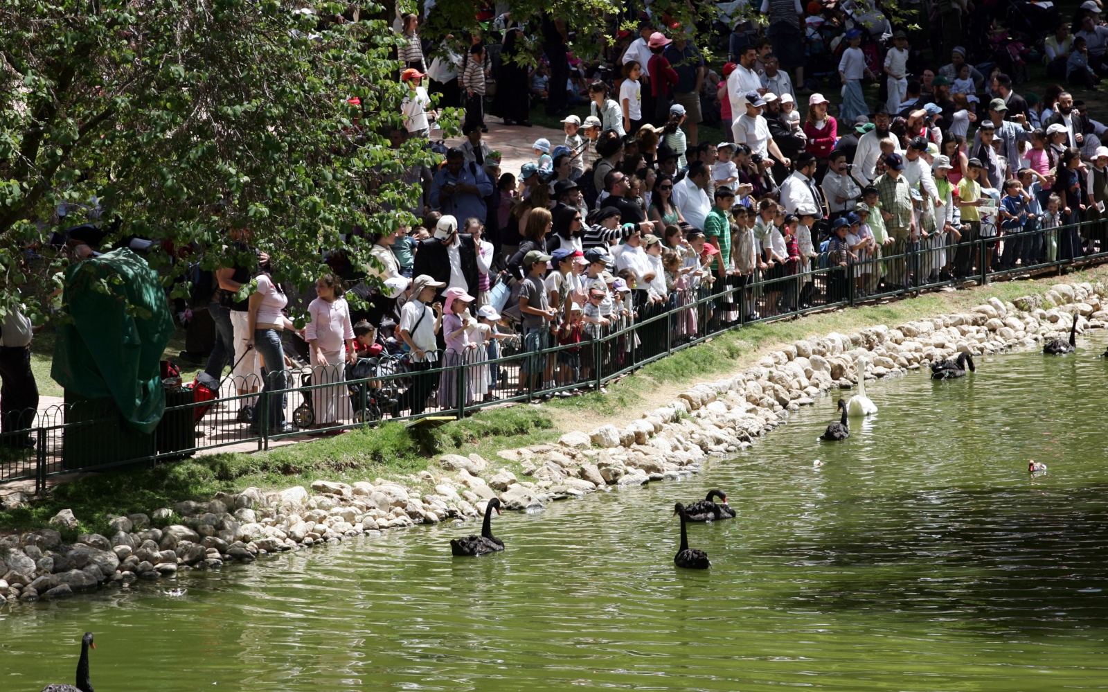 Jerusalem's Biblical Zoo is always packed during the intermediate days of Passover. Photo by Kobi Gideon/FLASH90