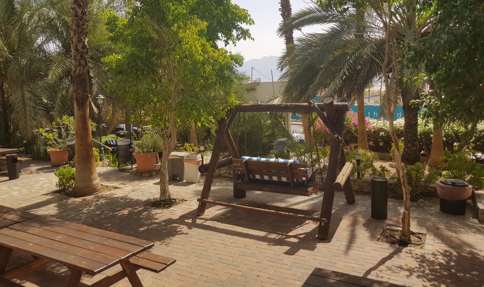 Garden of the Arava Hostel in Eilat. Photo via Facebook