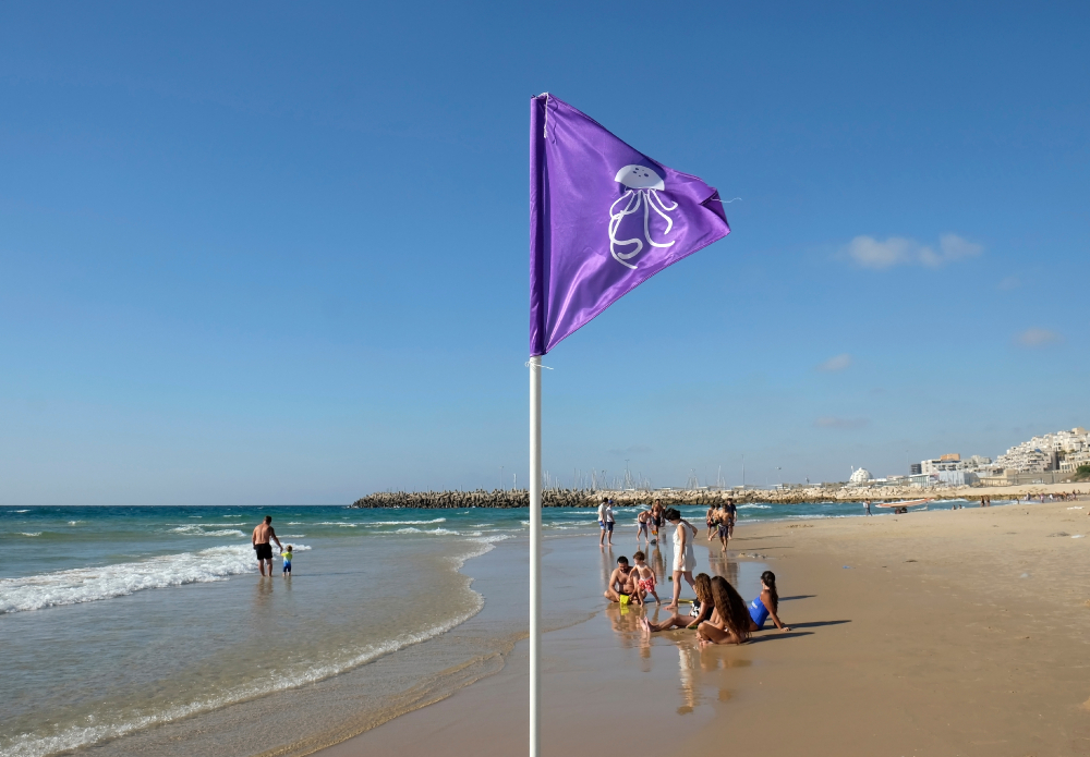 It may look safe to go in, but is it? A flag warns bathers of jellyfish on Ashkelon Beach. Photo by Shutterstock