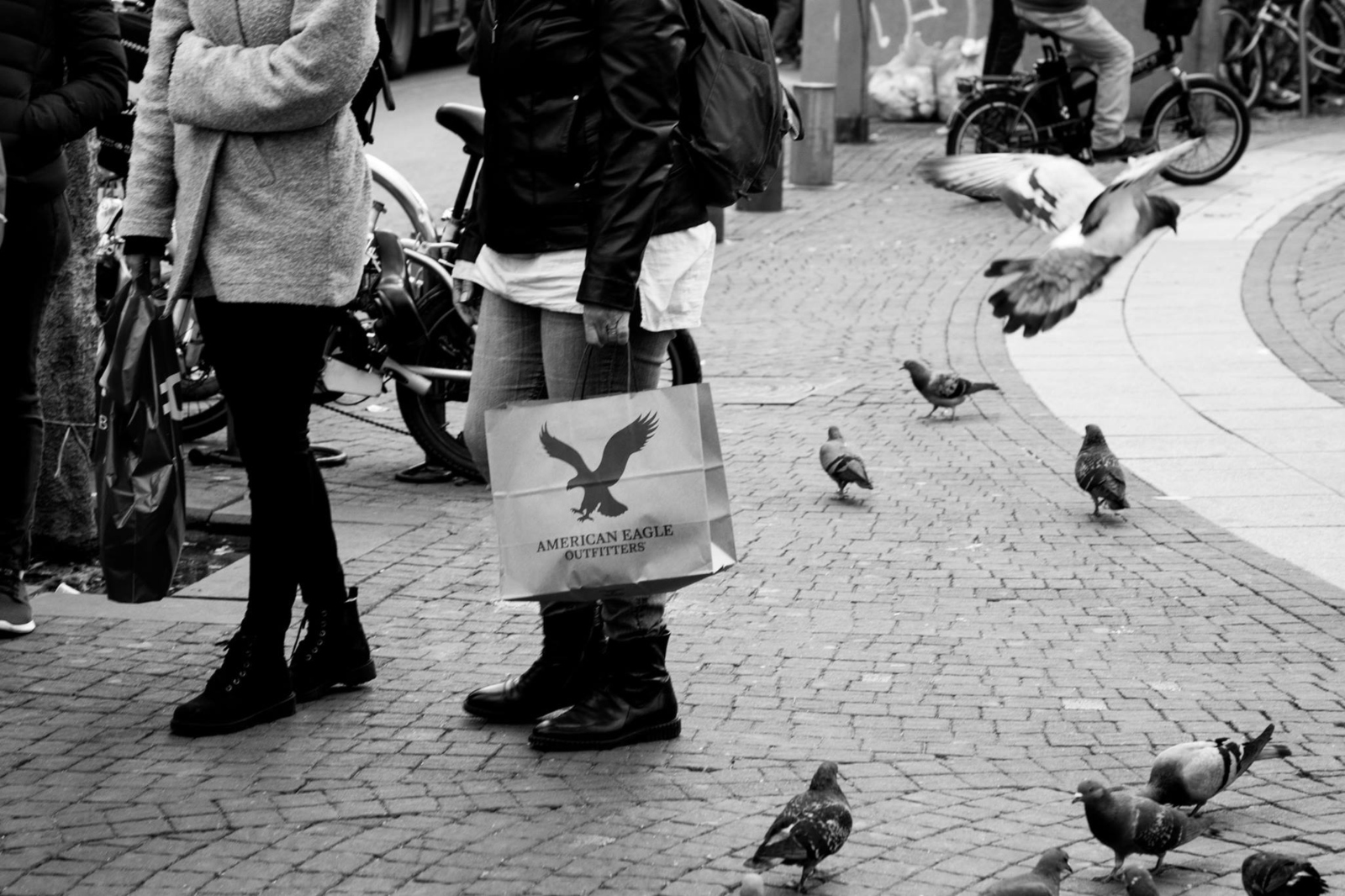 Eagles and pigeons. Photo by Evyatar Dayan/ThisIsTelAviv