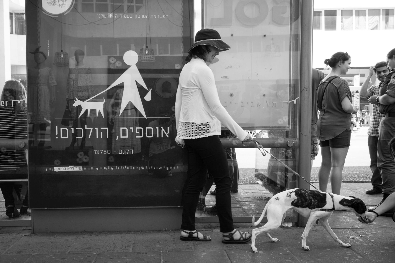 On the leash, real and fake. Photo by Evyatar Dayan/ThisIsTelAviv