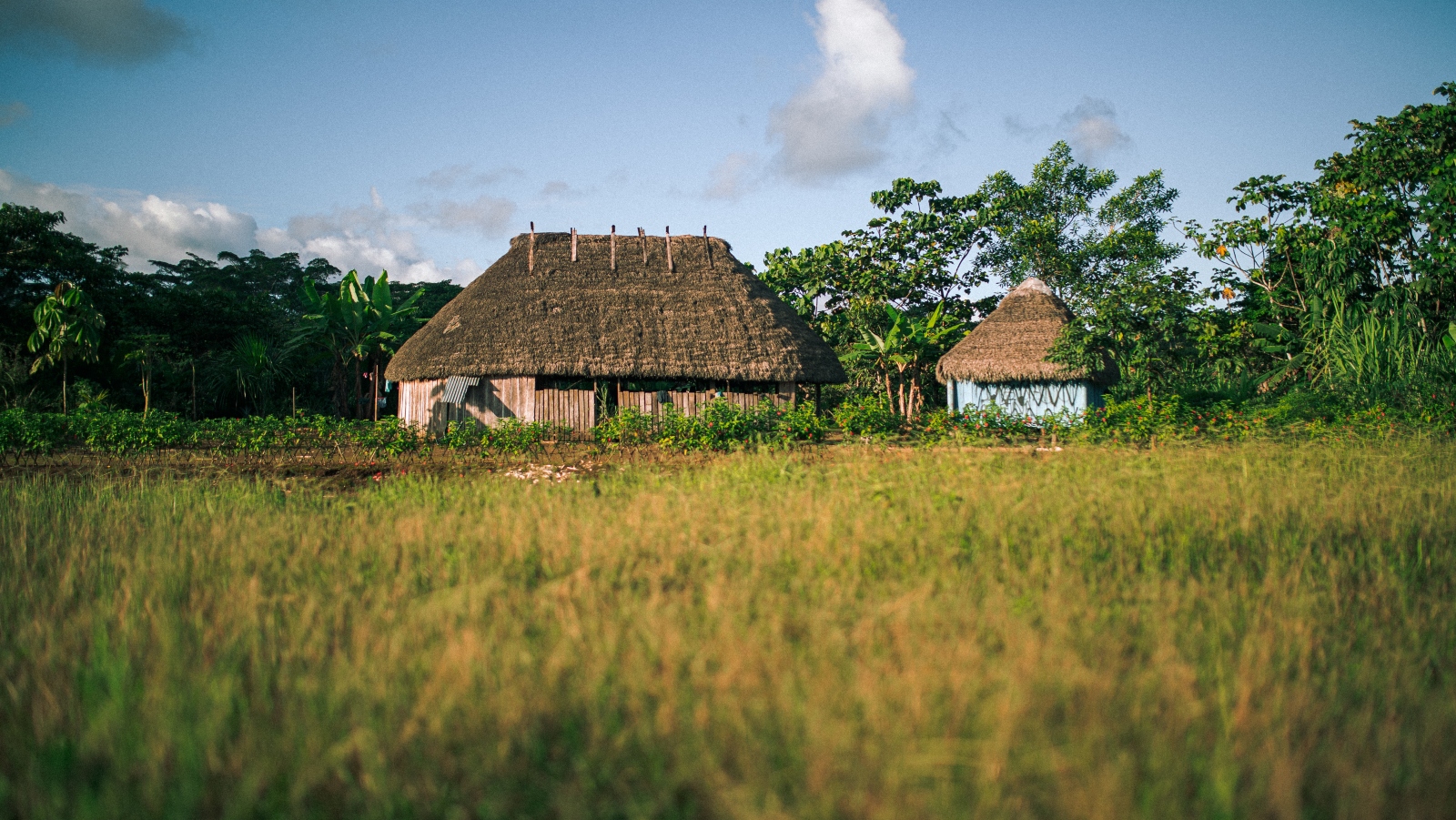 A typical house in Wayusentsa, Ecuador. Photo courtesy of MyHeritage