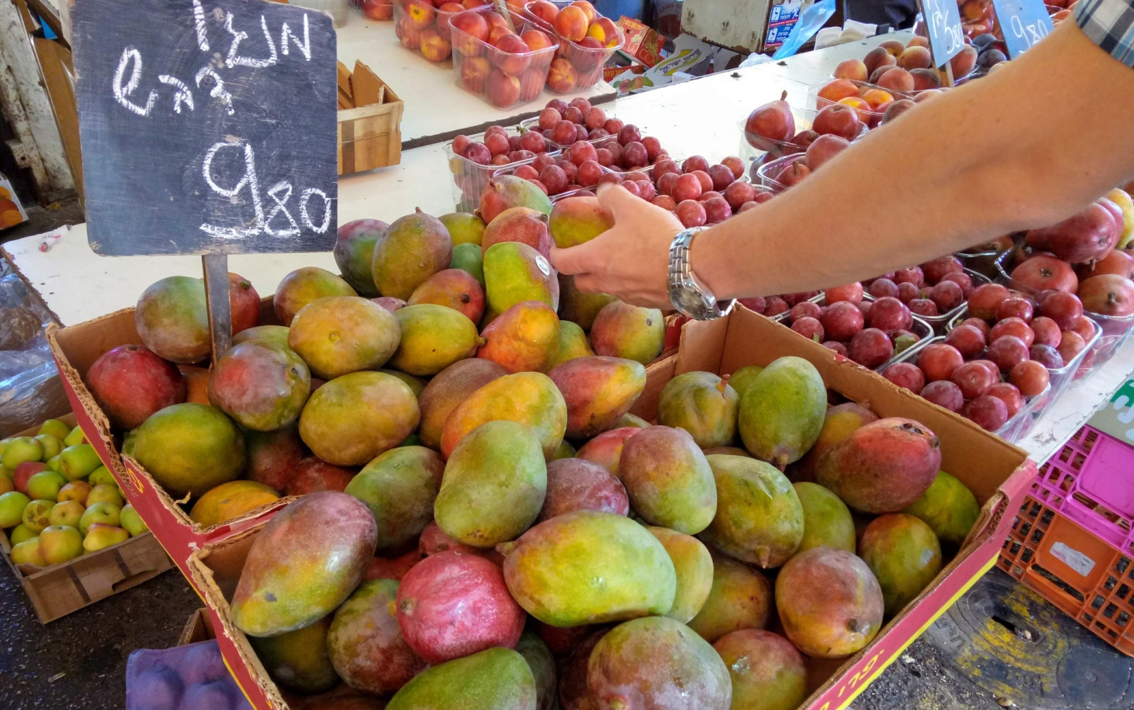 Fresh produce at Shuk Talpiot, Haifa. Photo by Jessica Halfin