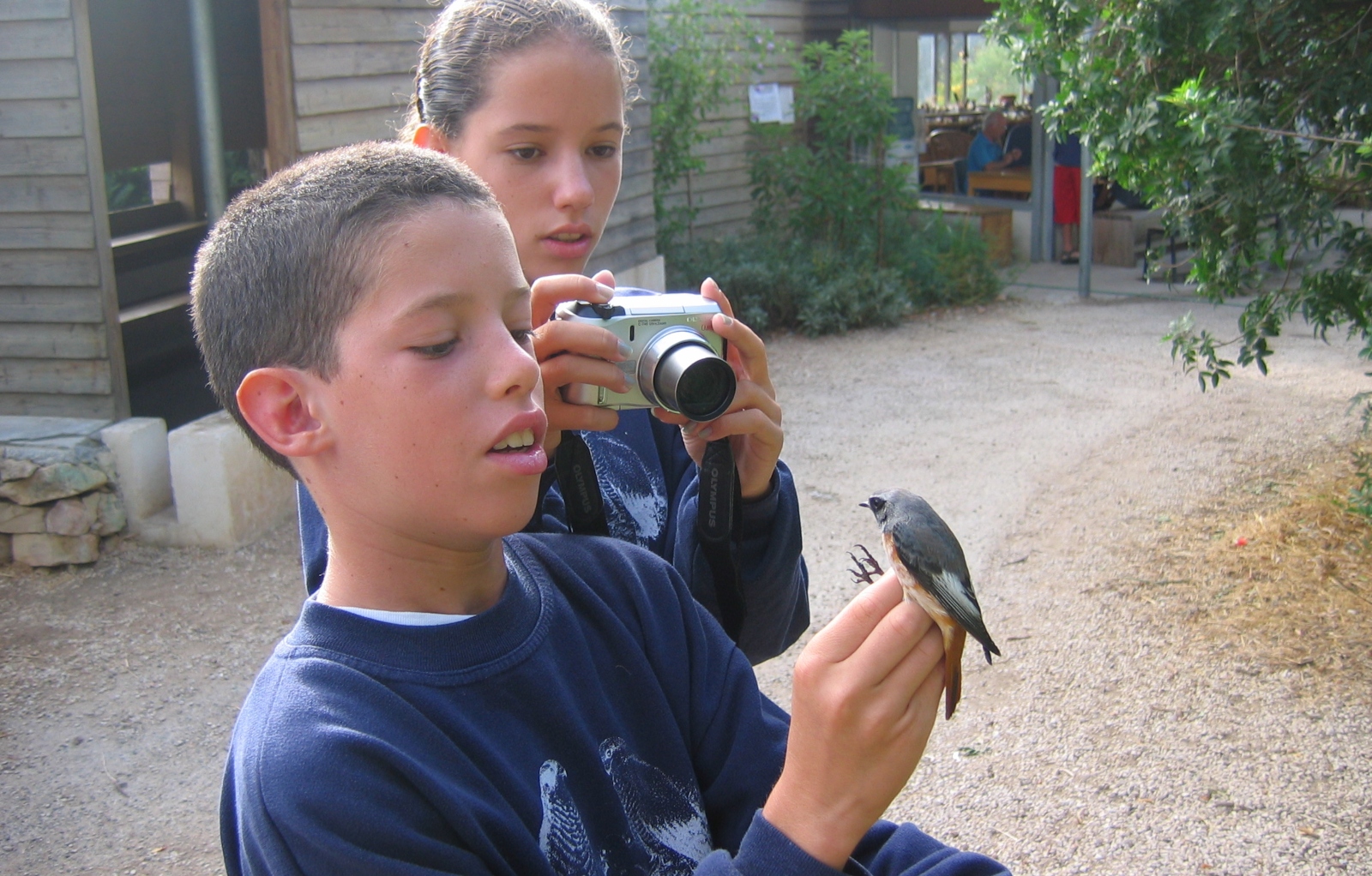 Children interacting with a feathered friend at the Jerusalem Bird Observatory. Photo courtesy of JBO