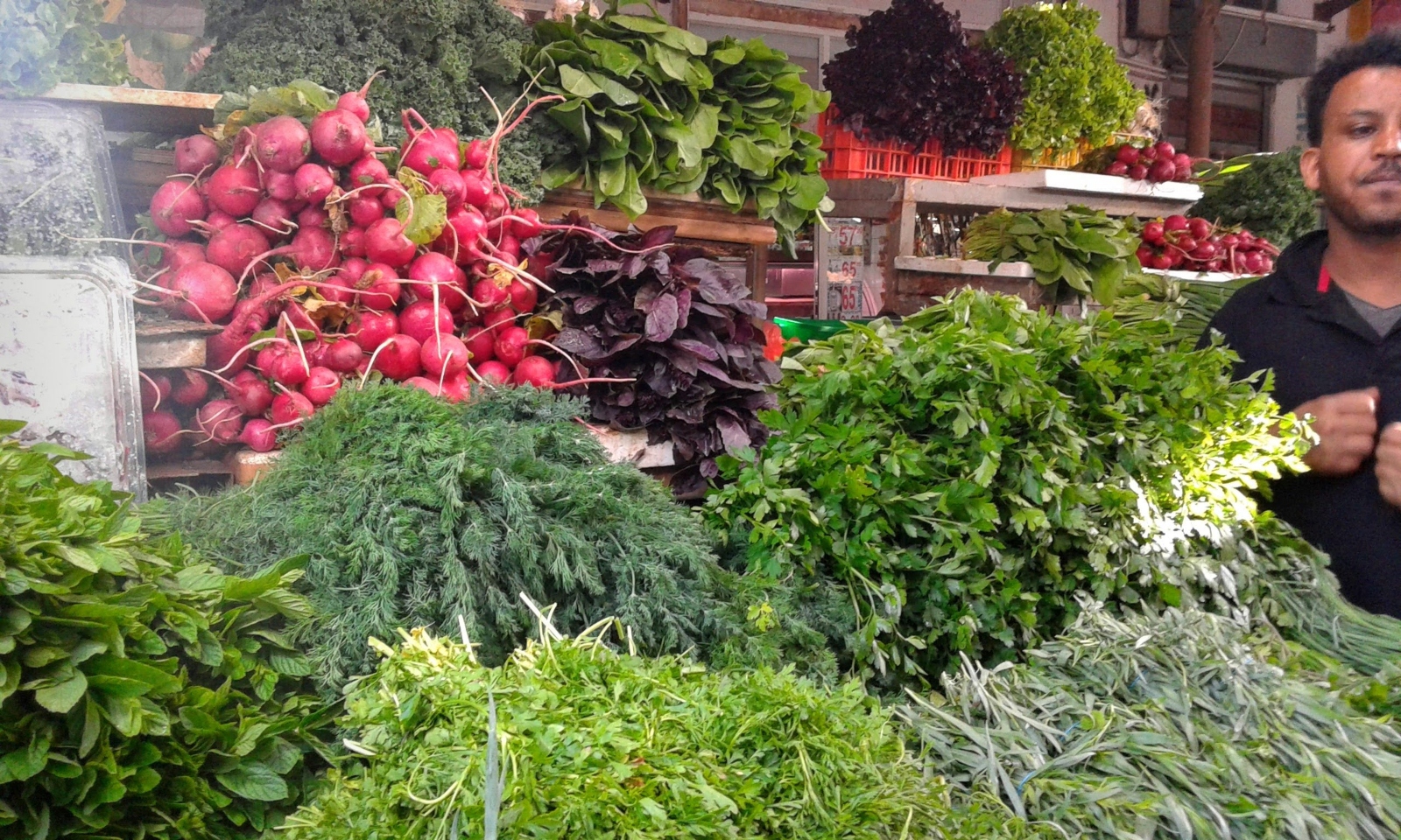 A produce stand at Carmel Market, Tel Aviv. Photo by Jessica Halfin