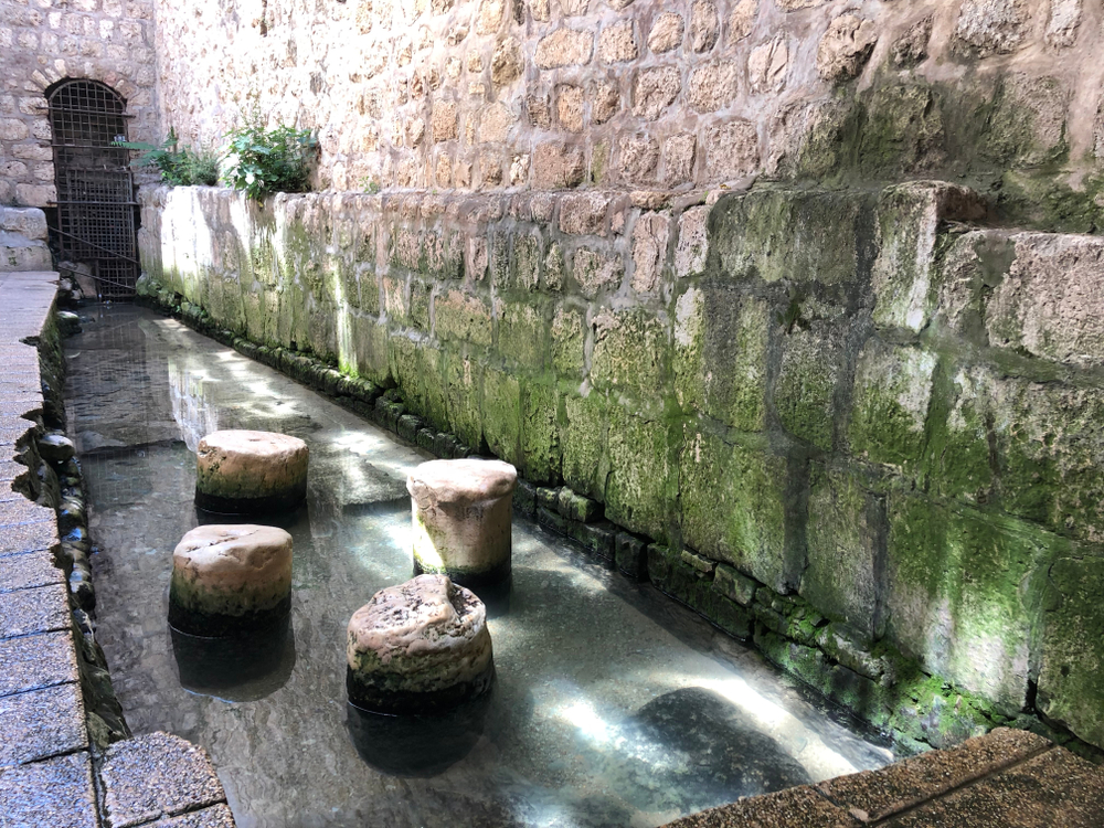 A pool at the end of Hezekiah’s Tunnel. Photo by Shutterstock