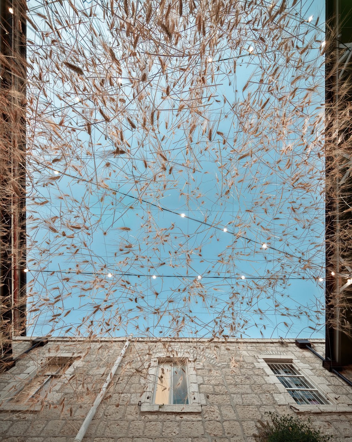 “Goren” in the courtyard of Hansen House, Jerusalem. Photo by Ido Adan