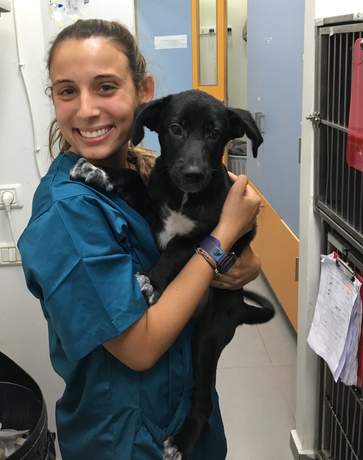 Rebecca Brisman from New York interning at the Dr. Yuval Samuel Veterinary Clinic in Tel Aviv. Photo courtesy of Onward Israel