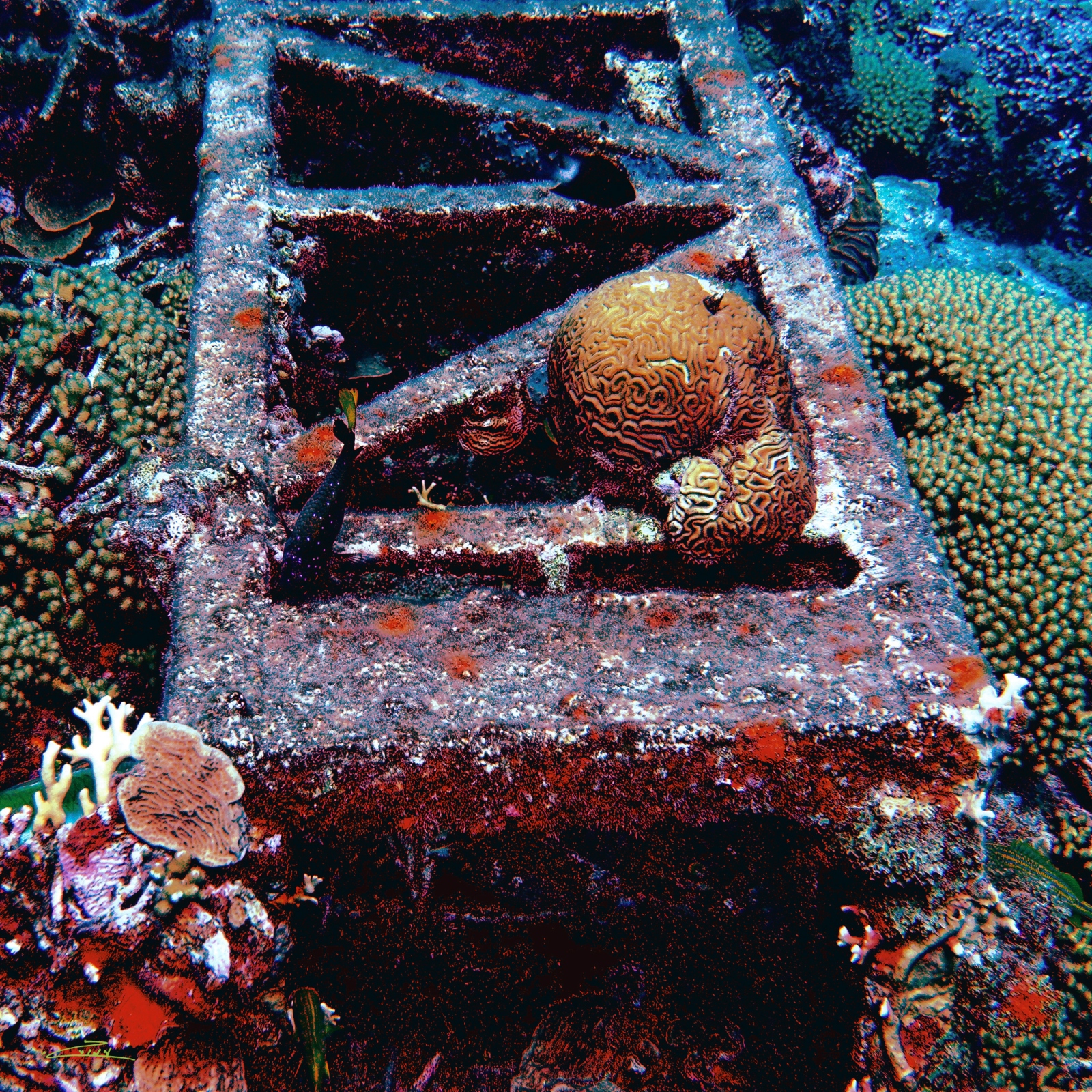 Construction debris dumped in Curacao. Photo by Amos Gazit