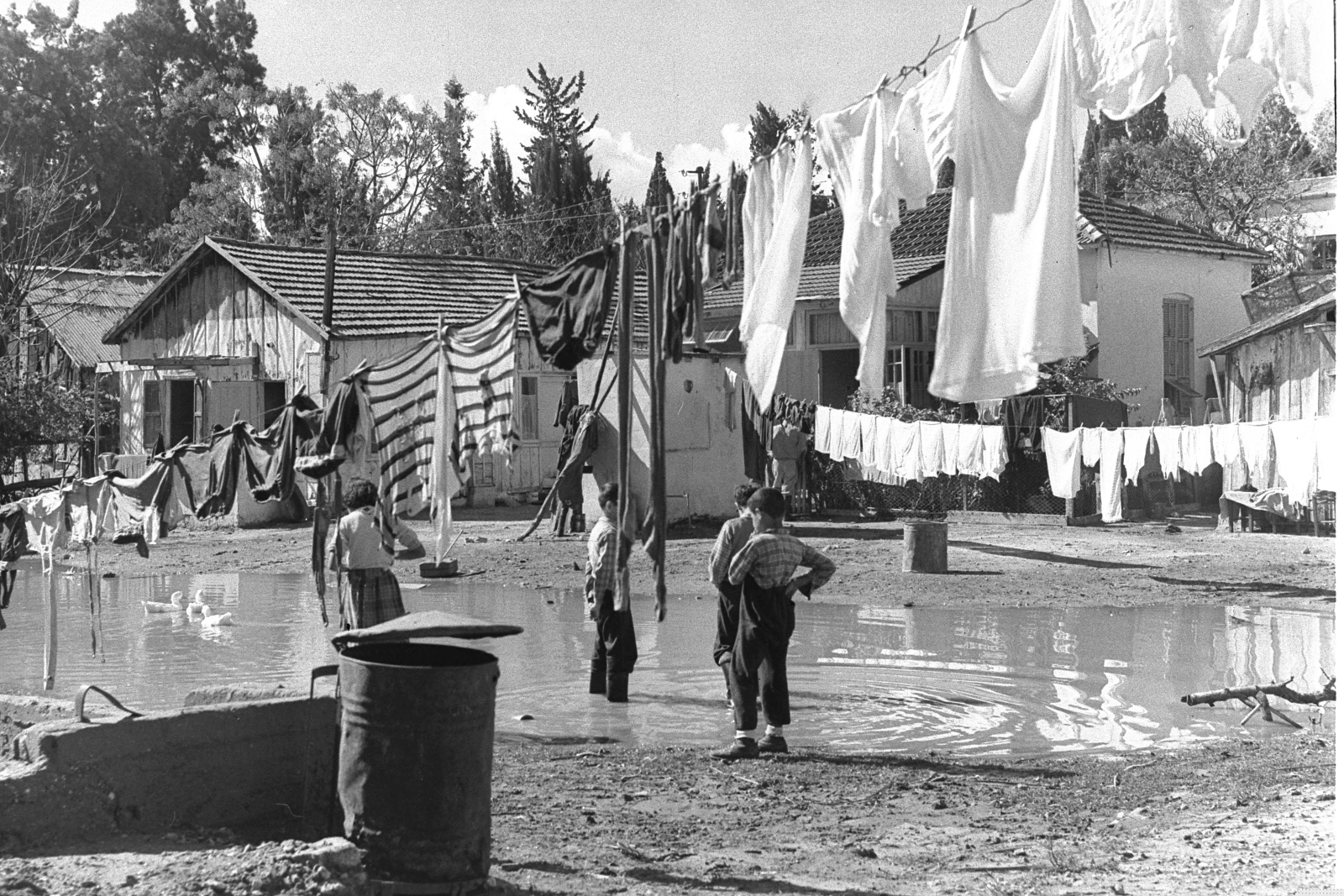 Flooding in Tel Aviv's Montefiore neighborhood in 1955, a boon for local ducks and kids, but not so much for the adult residents. Credit: GPO