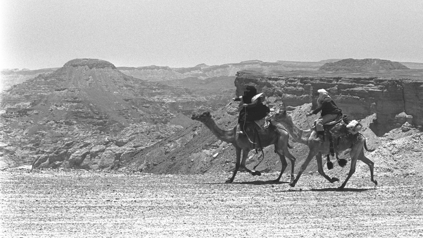 Extras ride camels on the set of “Ashanti” with Beverly Johnson and Michael Caine, shot in the Negev near Eilat.