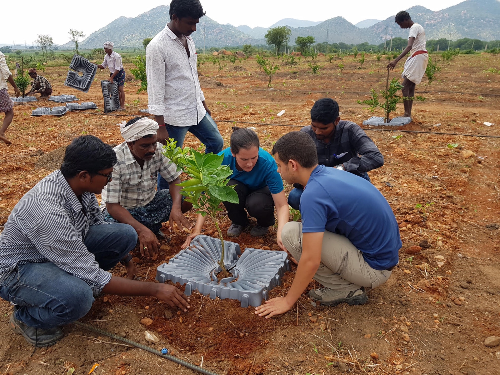Tel Aviv University’s Nitsan Sustainable Development Lab staff showing Indian farmers how to use Israeli Tal-Ya trays to reduce water usage dramatically. Photo by Dr. Ram Fishman