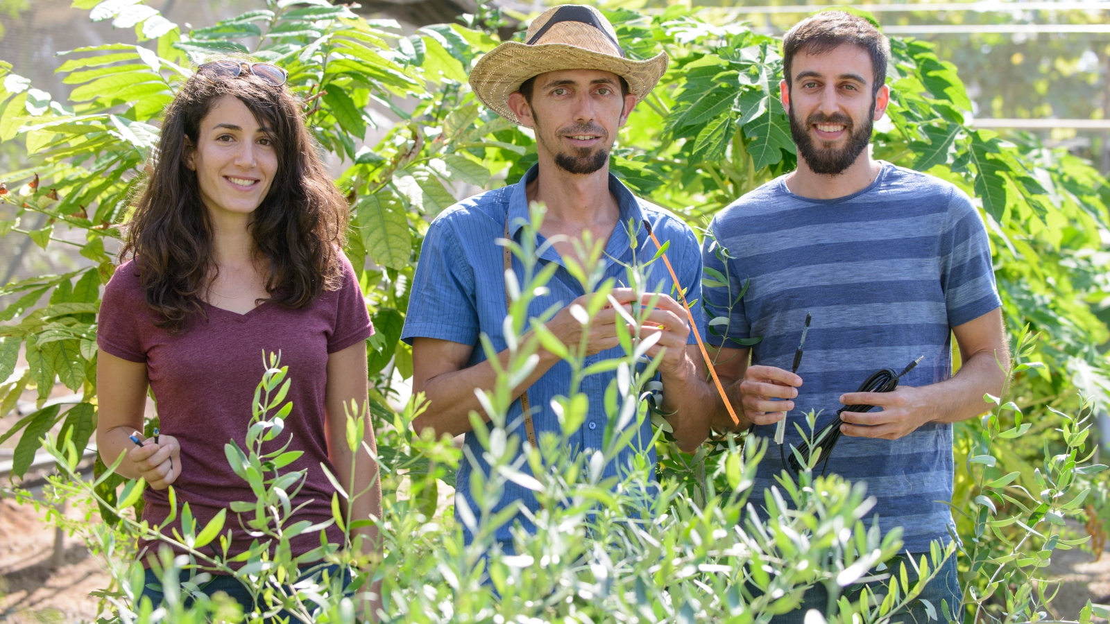Dr. Tamir Klein flanked by research students Yael Wagner, left, and Ido Rog at the Weizmann Institute of Science’s Tree Lab. Photo: courtesy