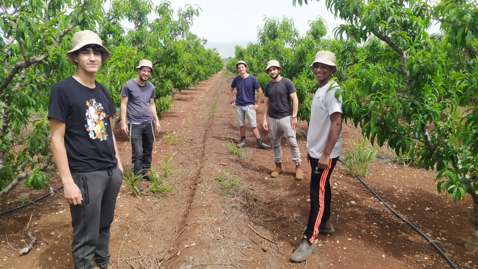 HaShomer HaChadash volunteers pause during their work in an orchard. Photo by Raheli Alon