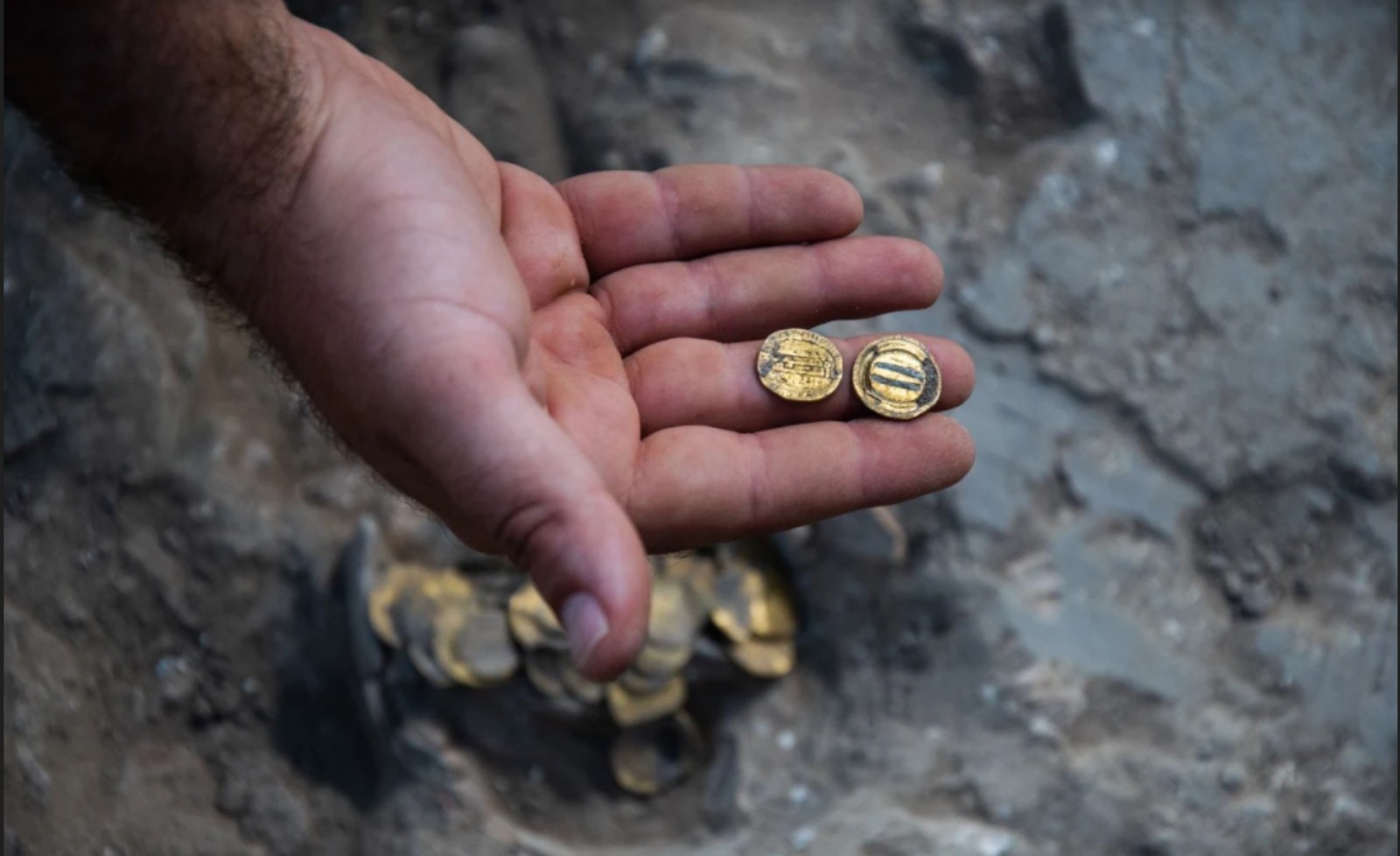 Gold’s value throughout history means that finding large quantities of golden coins is a rare occurrence.Photo by Yoli Schwartz/Israel Antiquities Authority