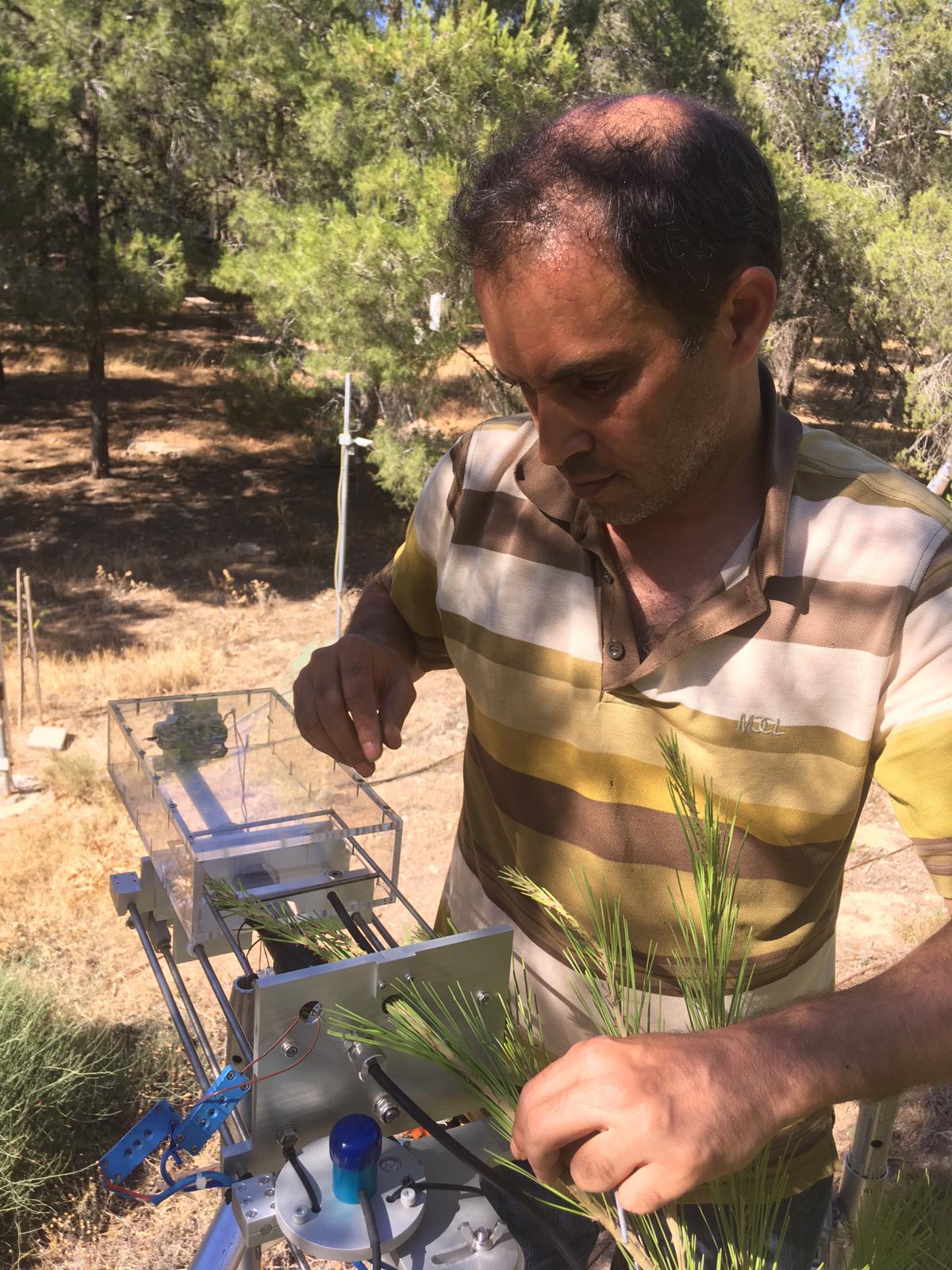 Dr. Rafat Qubaja devised ways to quantify carbon sequestration in small groves. Photo by Dr. Eyal Rotenberg