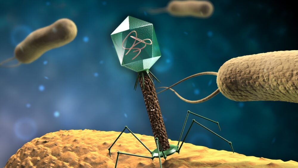 Bioconvergence - The next big thing from Israel - ISRAEL21c