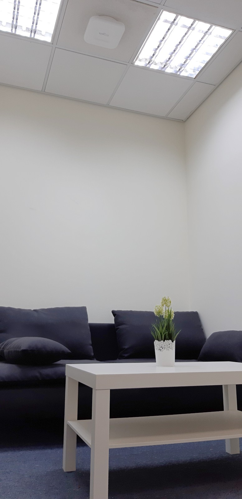 ECHO installed in a demo room. Photo courtesy of EchoCare Technologies