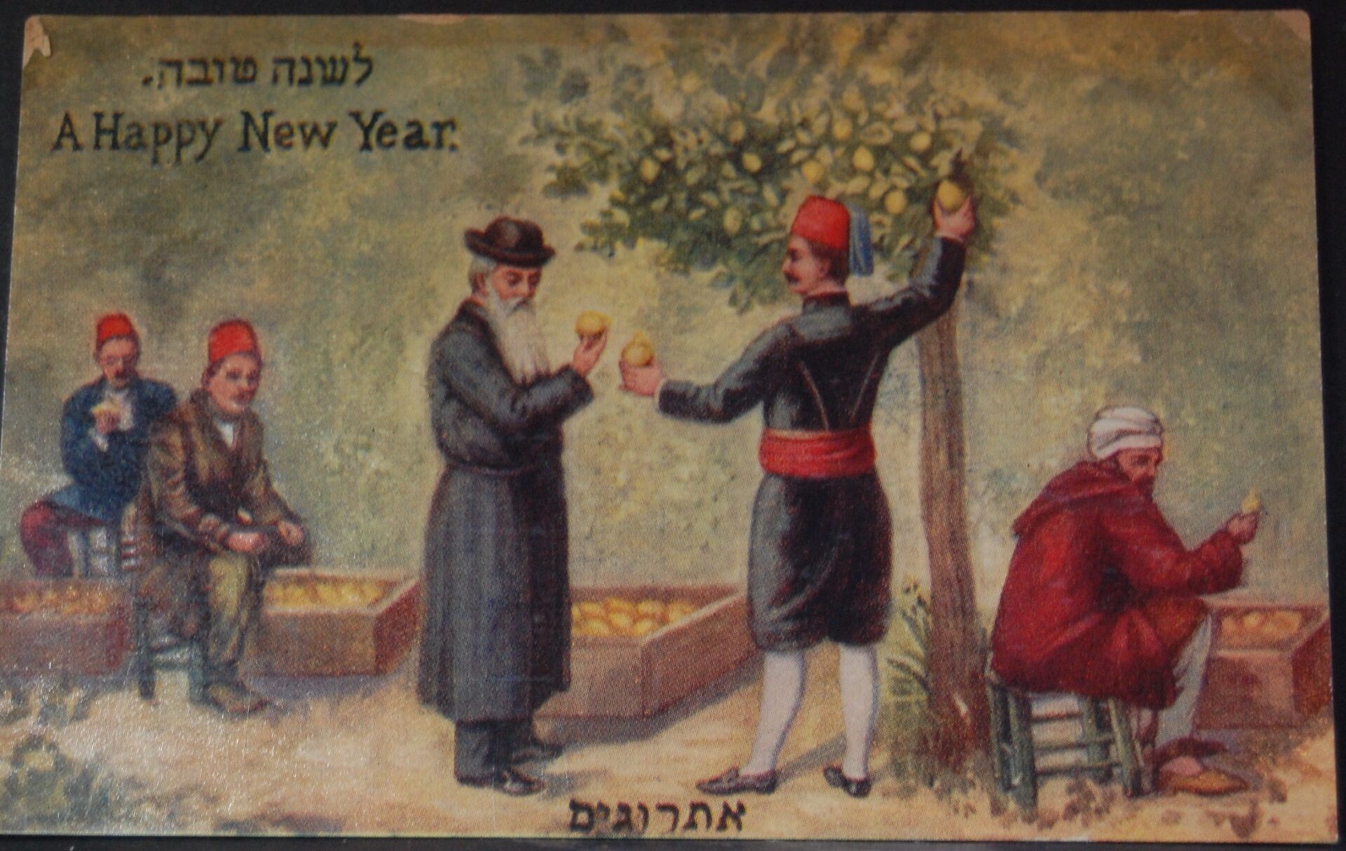 Etrog shopping in Ottoman-era Palestine. Image courtesy of Hebrew University