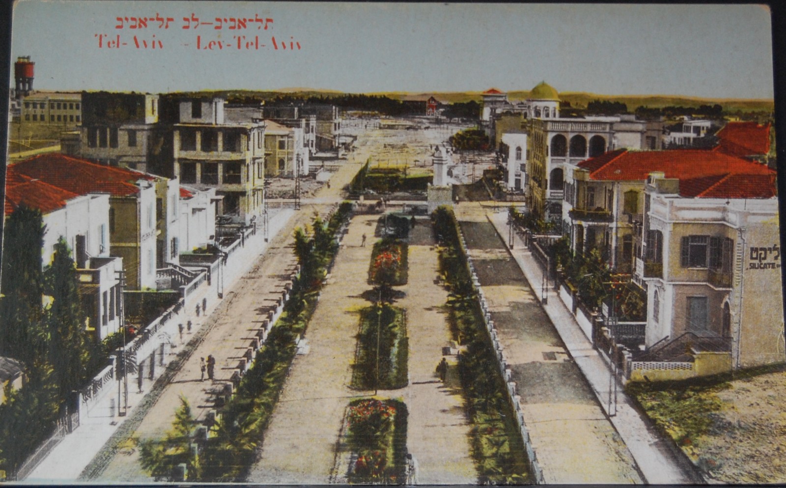 An old postcard of a boulevard in Tel Aviv. Image courtesy of Hebrew University