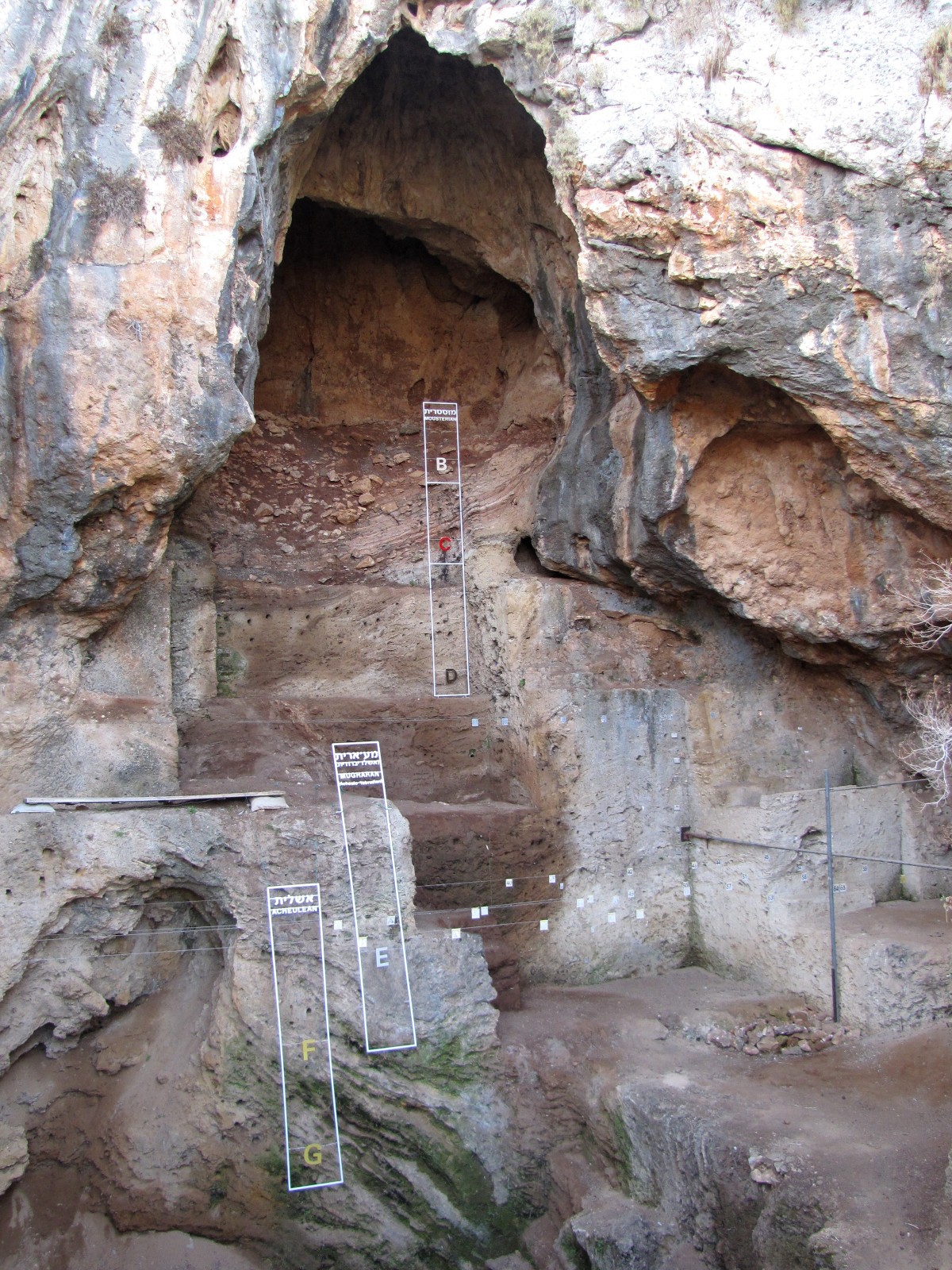 Tabun Cave on Mount Carmel. Photo by Dr. Ron Shimelmitz