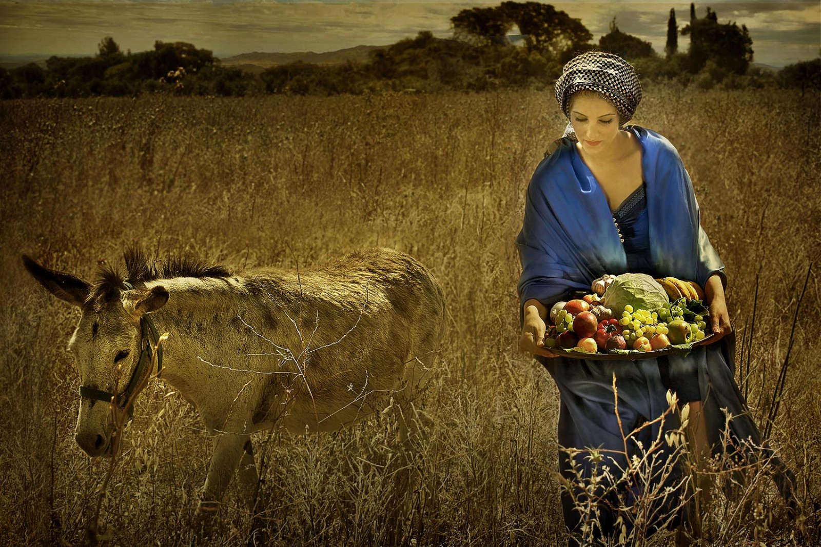 Abigail, future wife of King David, bringing food to his soldiers (1 Samuel 25:35-37). Photo © Dikla Laor