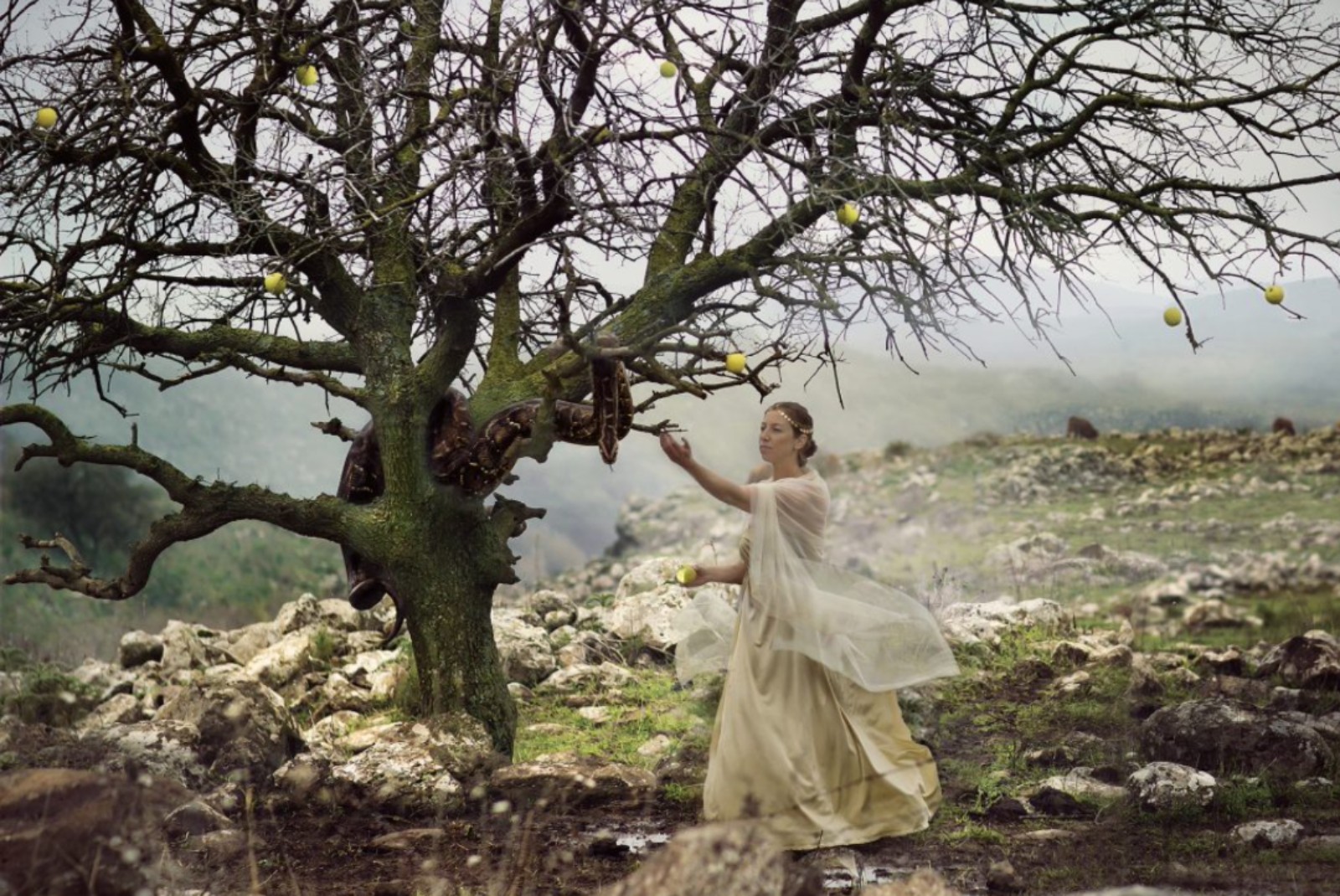 Eve in the Garden of Eden, with a 70-kilo python. Photo © Dikla Laor