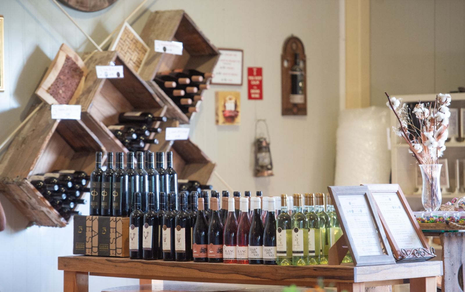 Kadma Winery incorporates ancient and more modern techniques to produce award-winning wines. Photo by Nir Shmul