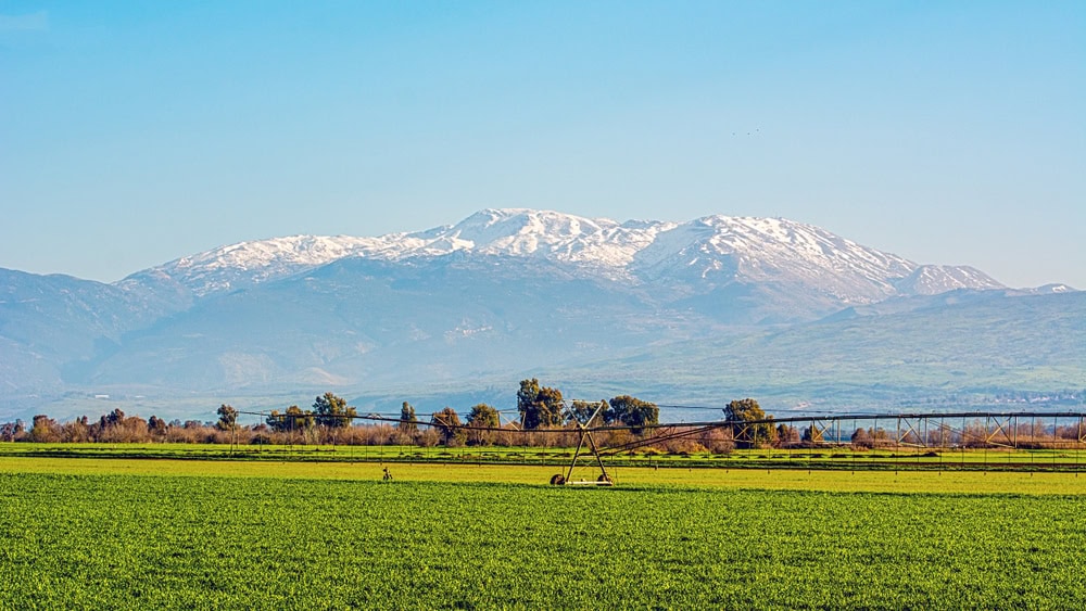 A green field stretches across the foreground, with scattered trees and a metal irrigation structure. In the background, the snow-capped mountains of Mount Hermon rise under a clear blue sky. 