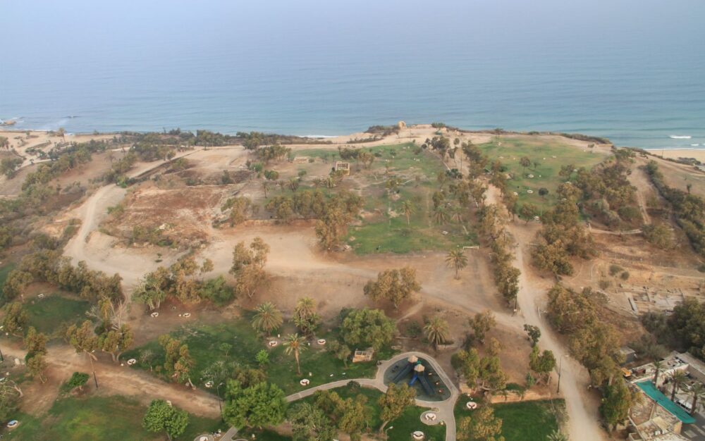 The location of the dog cemetery in Ashkelon. Photo courtesy of the Leon Levy Expedition to Ashkelon