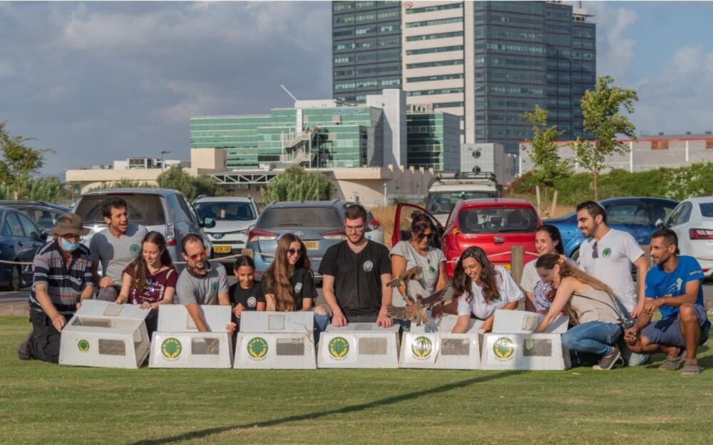 For the Wildlife staff and volunteers free recovered birds back into the wild. Photo courtesy of For the Wildlife