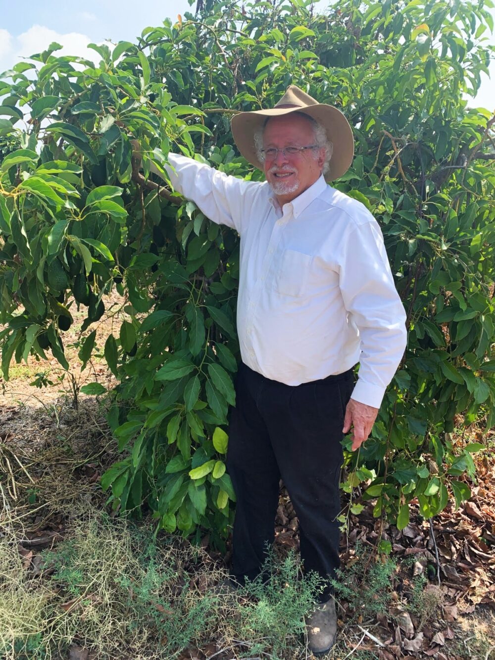 Sandy Colb with an avocado tree on his Hatov V’Hameitiv charity farm. Photo courtesy of Sandy Colb