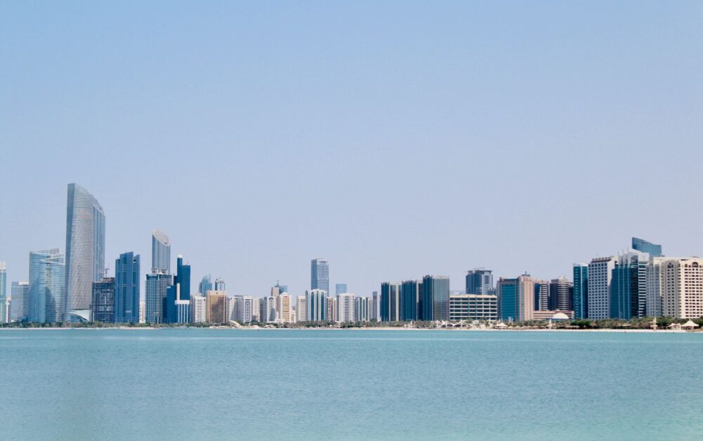 Abu Dhabi institutions are collaborating with Israel on numerous ventures, including stem cell therapy, natural gas and endangered birds. Photo by Anshul Hari on Unsplash
