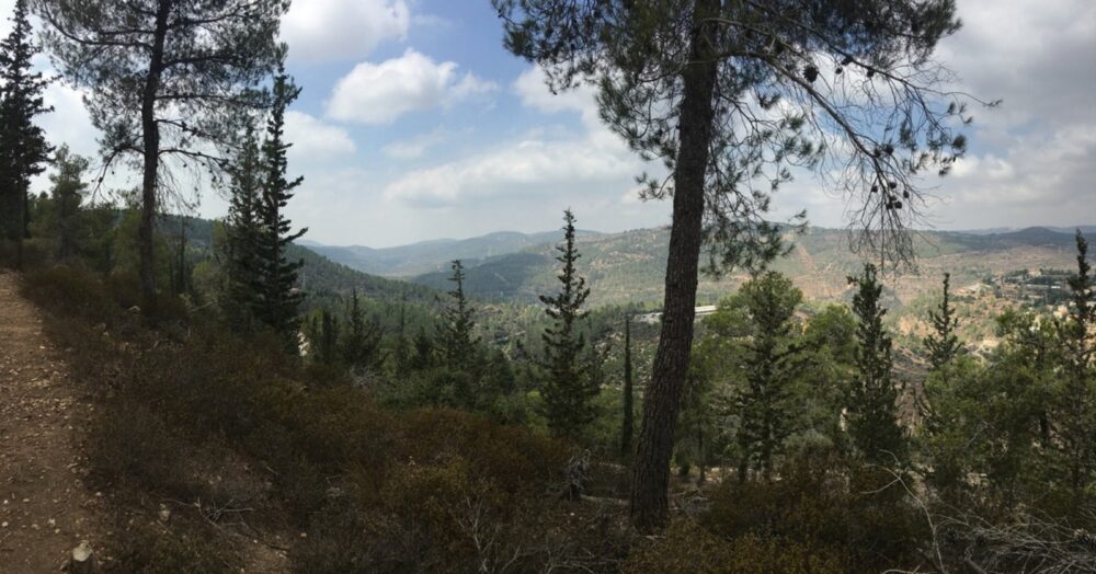 A panoramic view of the Judean Mountains from the Trail of the Springs. Photo by Arnold Slyper