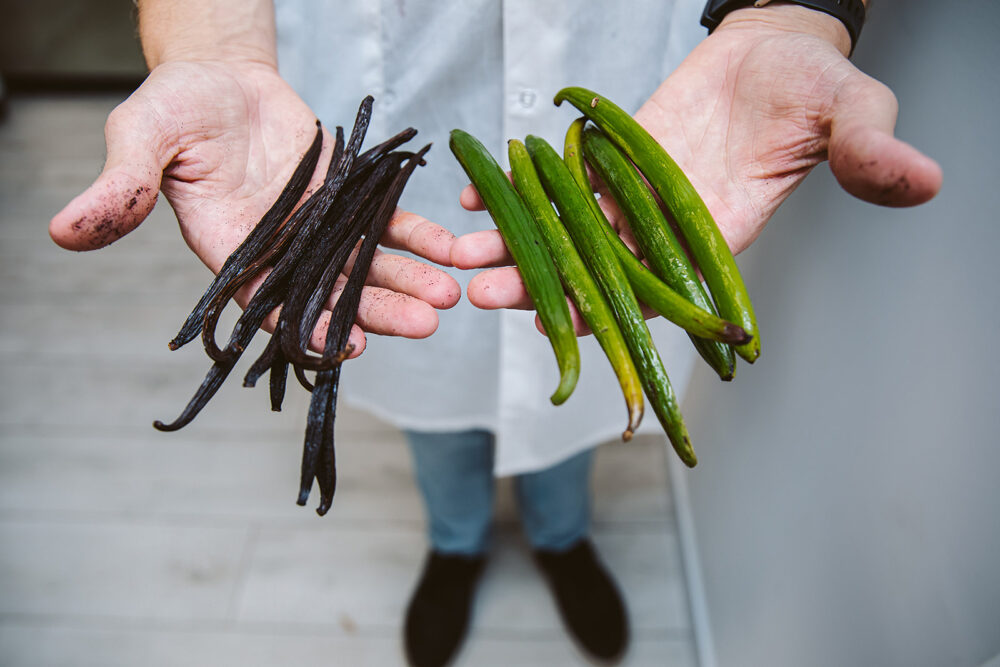 Oren Zilberman displays green newly harvested beans compared with the brown cured product ready for shipment. One kilogram sells for $250. Photo by Bar Cohen
