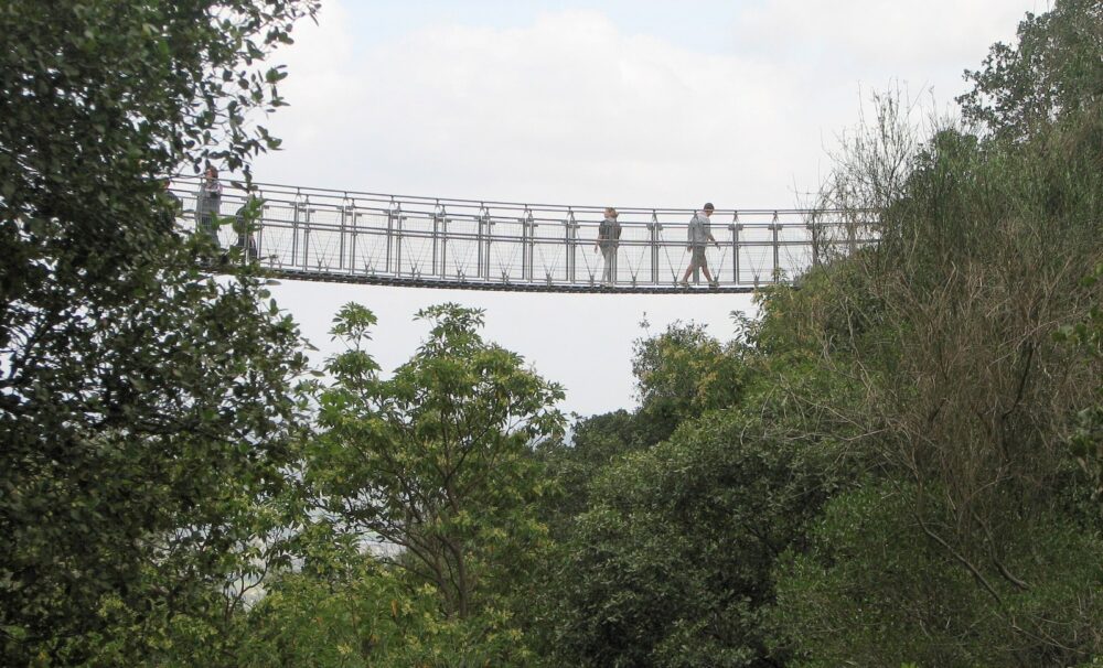 Hanging bridge in Nesher Park, Haifa. Photo by Hanay via Wikimedia Commons