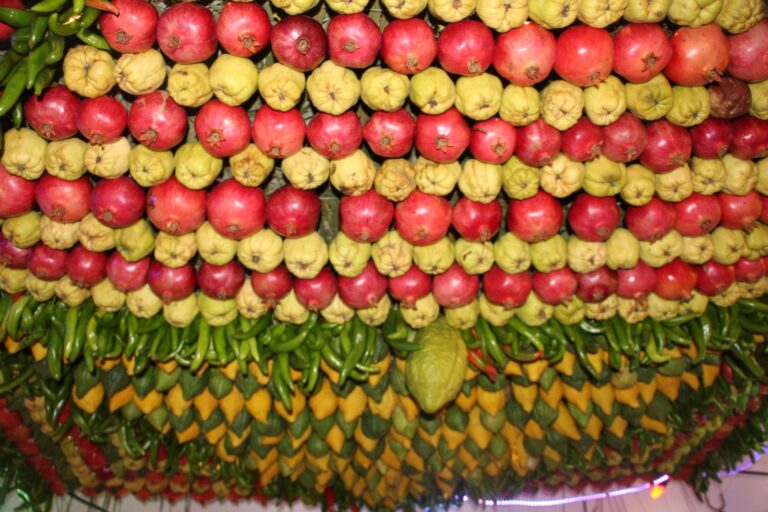 Rows of red pomegranates, yellow-green Etrog fruits, guavas, green chilies, and yellow mangoes are strung together in neat, horizontal lines, creating a colorful and decorative hanging display.