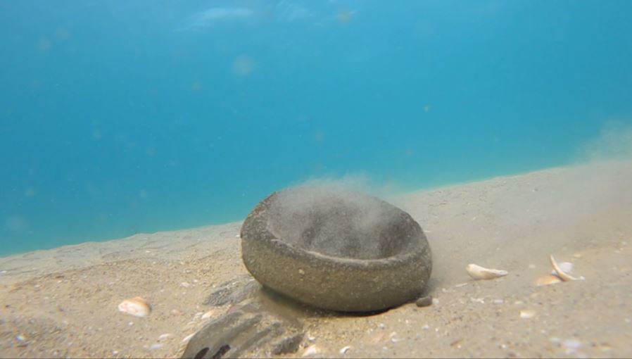 Another ancient find spotted by Shlomi Katzin at the same time. Photo by Shlomi Katzin